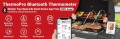Thermopro_TP910-g.jpg