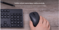 xiaomi-mi-mouse-lite_a.png