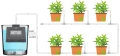 dds.webp