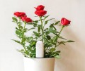 xiaomi-flower-monitor-001.jpg