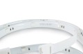 tasma_led_packshot_4.jpg
